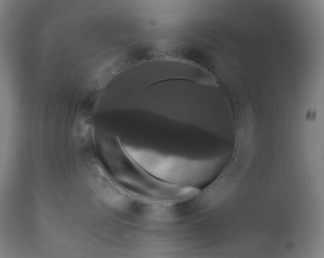 X0000111580576200908061328