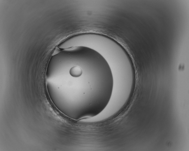 X0000111580577200908061327