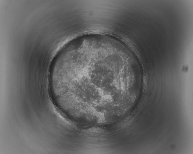 X0000111580578200908061327