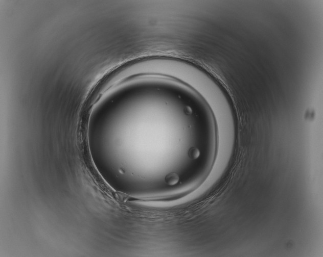 X0000111580579200908061327