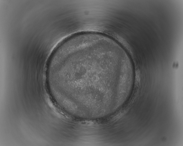 X0000111580580200908061327