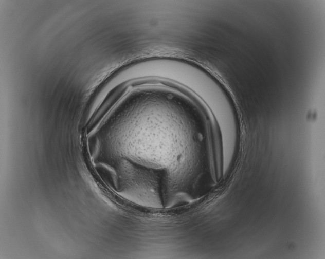 X0000111580581200908061327