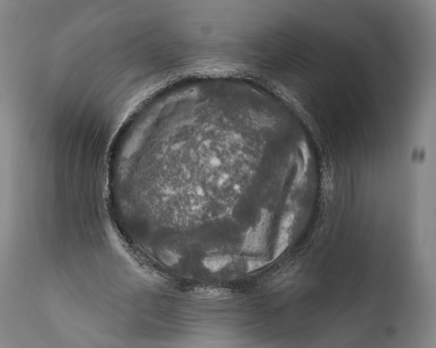 X0000111580582200908061327