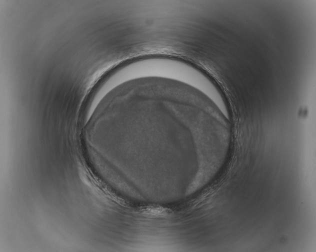 X0000111580583200908061327