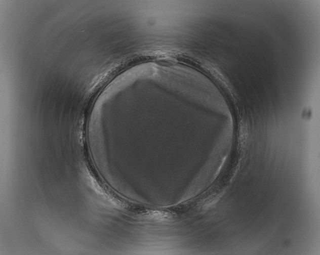 X0000111580585200908061327