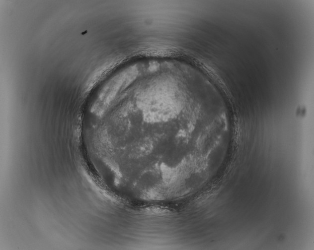 X0000111580586200908061327