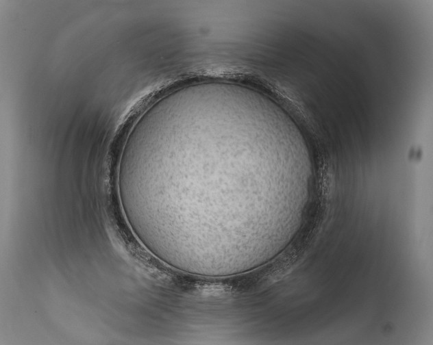 X0000111580587200908061327