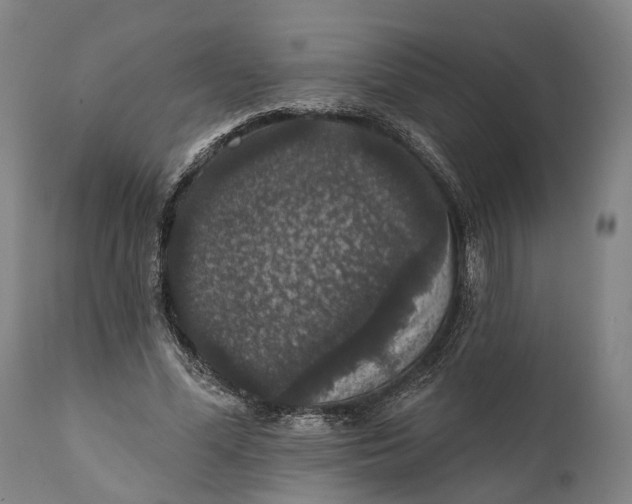 X0000111580588200908061327