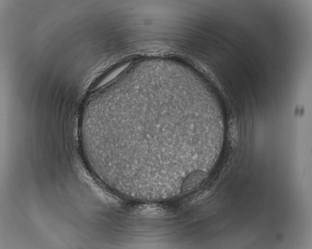 X0000111580589200908061327