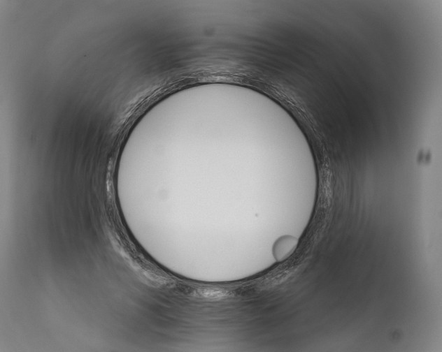 X0000111580590200908061327