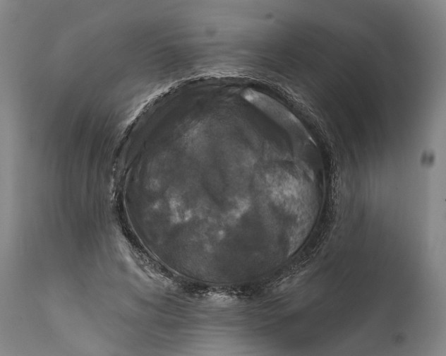 X0000111580592200908061327