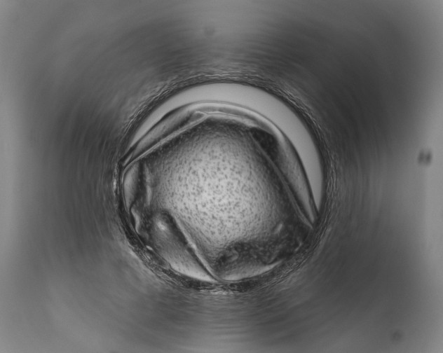 X0000111580593200908061327