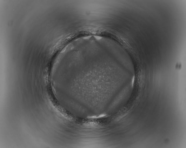 X0000111580594200908061327