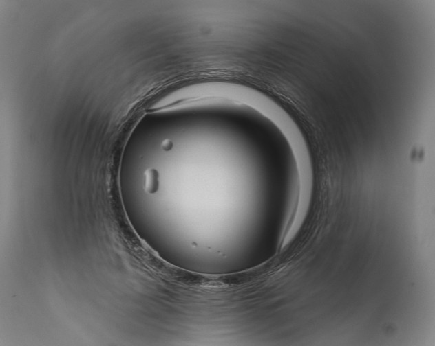 X0000111580595200908061327