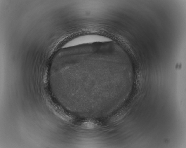 X0000111580596200908061327