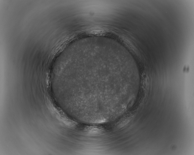 X0000111580597200908061326