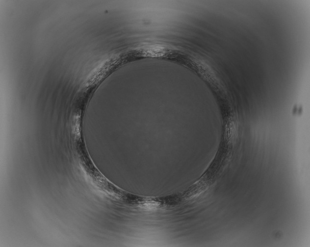 X0000111580598200908061326