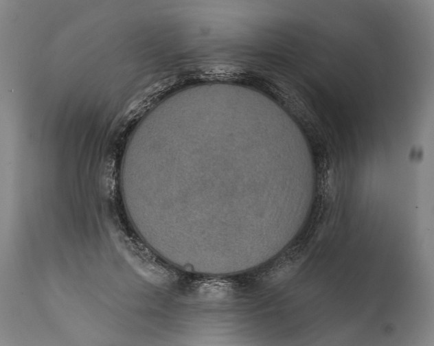 X0000111580599200908061326