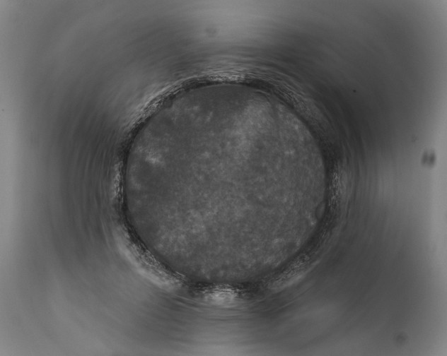 X0000111580600200908061326