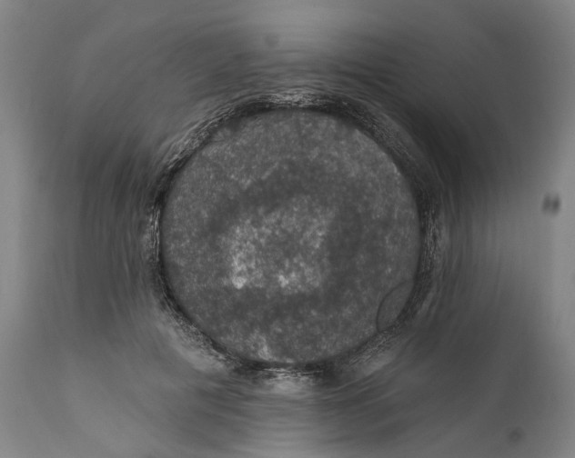 X0000111580601200908061326