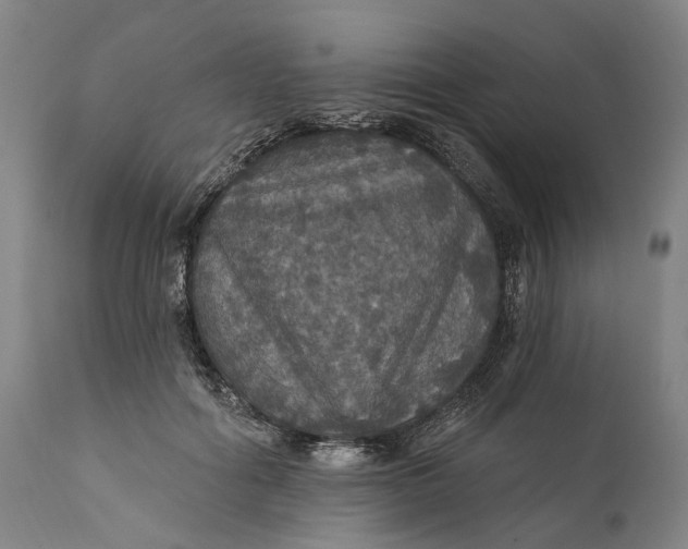 X0000111580602200908061326