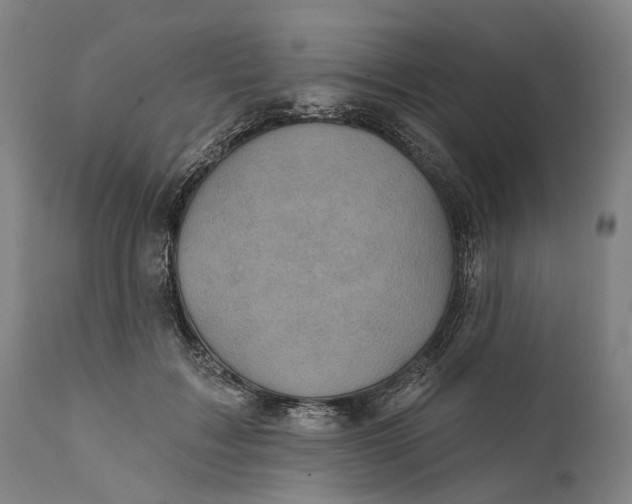 X0000111580603200908061326