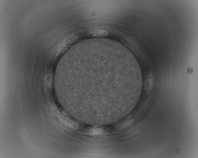 X0000111580604200908061326