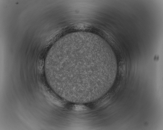 X0000111580605200908061326