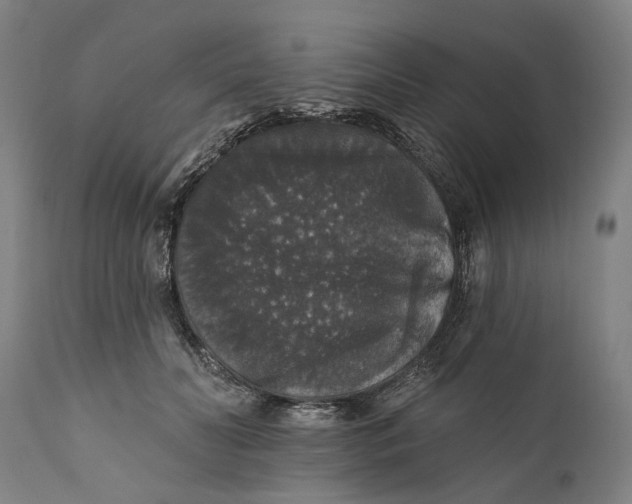 X0000111580606200908061326