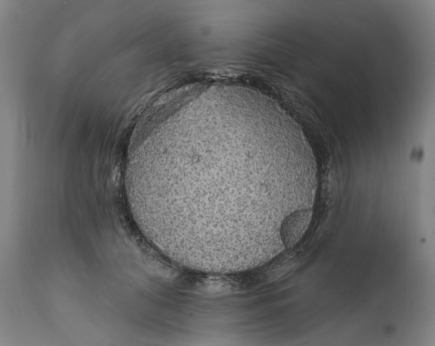 X0000111580608200908061326