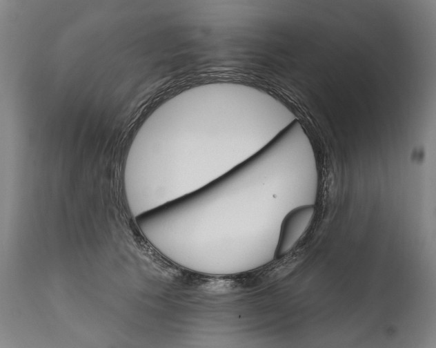 X0000111580609200908061326