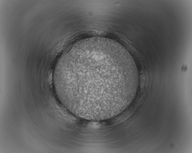 X0000111580613200908061326