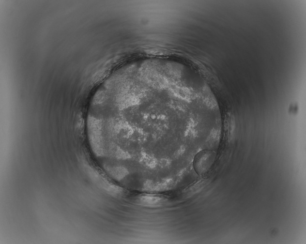 X0000111580614200908061326