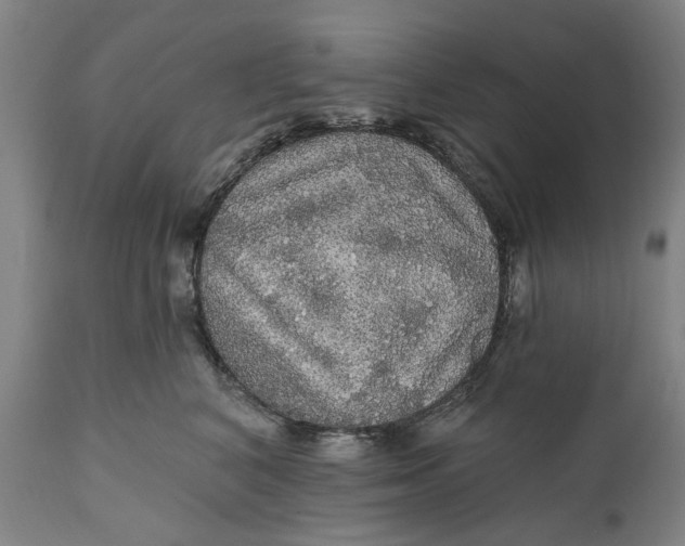 X0000111580616200908061326