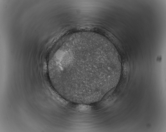 X0000111580617200908061326