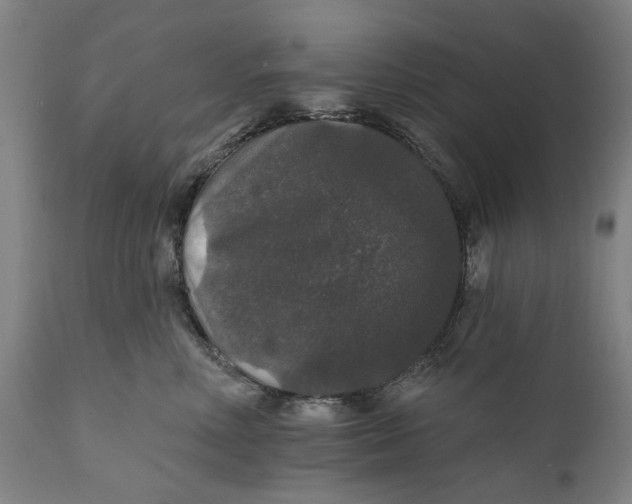 X0000111580618200908061326