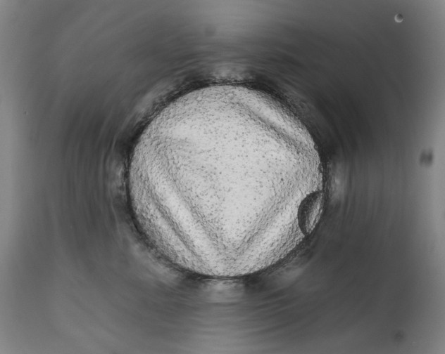 X0000111580619200908061326