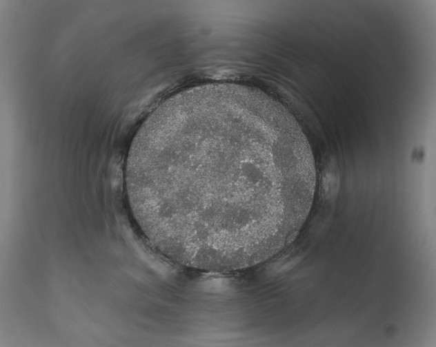 X0000111580620200908061326