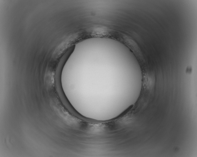 X0000111580621200908061326