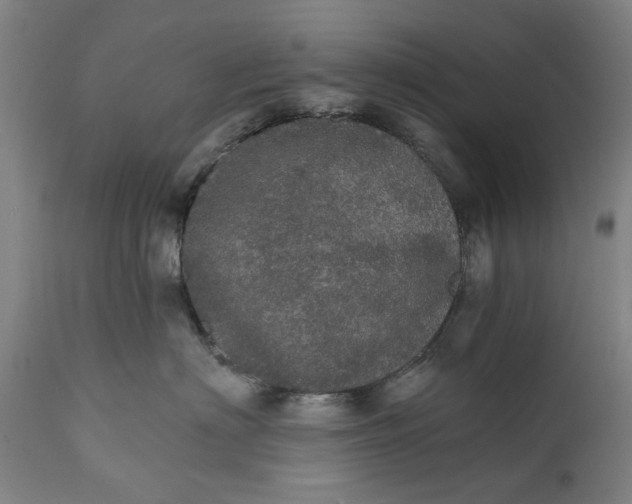 X0000111580622200908061326