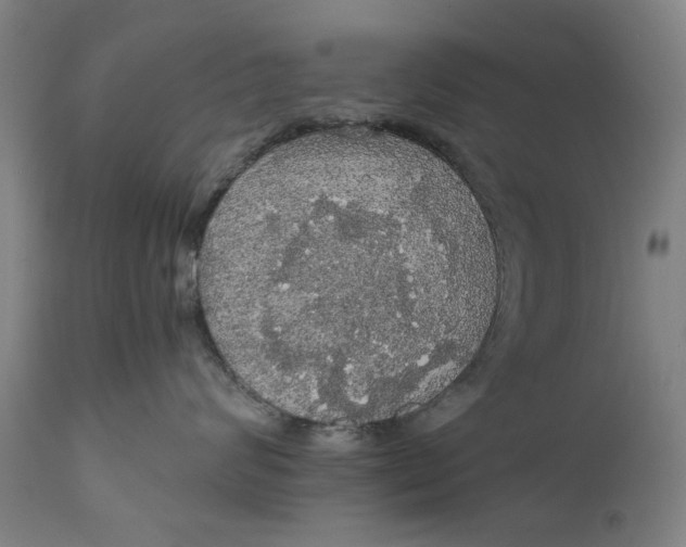 X0000111580624200908061326