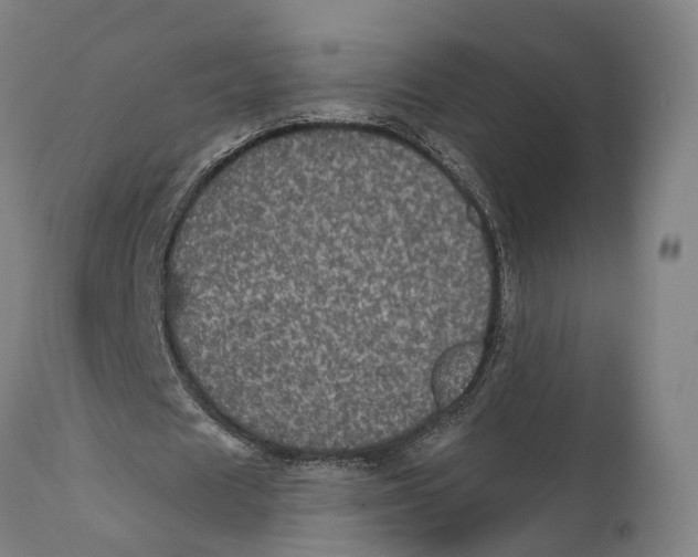 X0000111580625200908061325