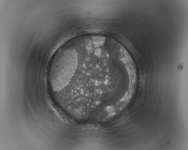 X0000111580626200908061325