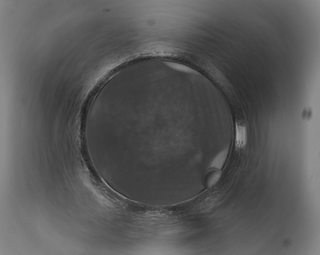 X0000111580627200908061325