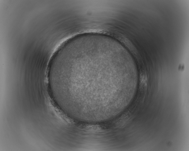 X0000111580628200908061325