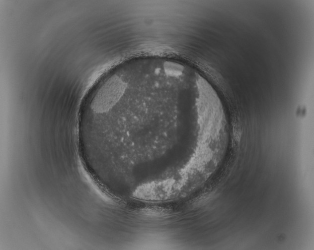 X0000111580630200908061325