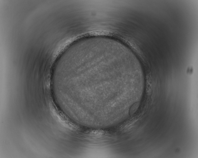 X0000111580631200908061325