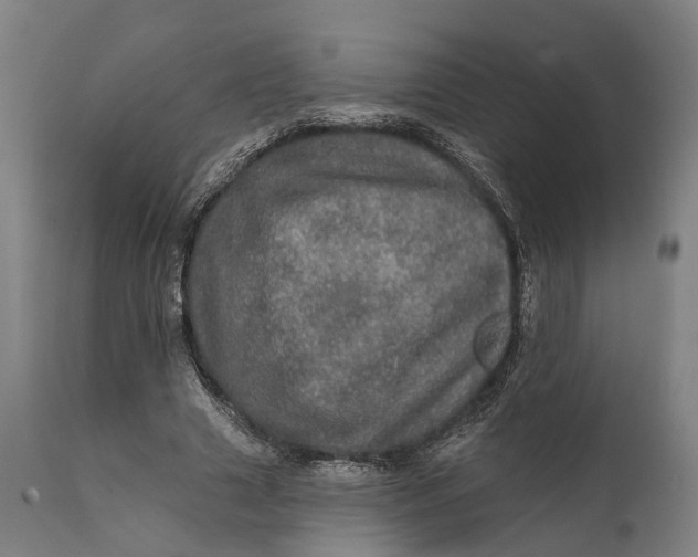 X0000111580633200908061325