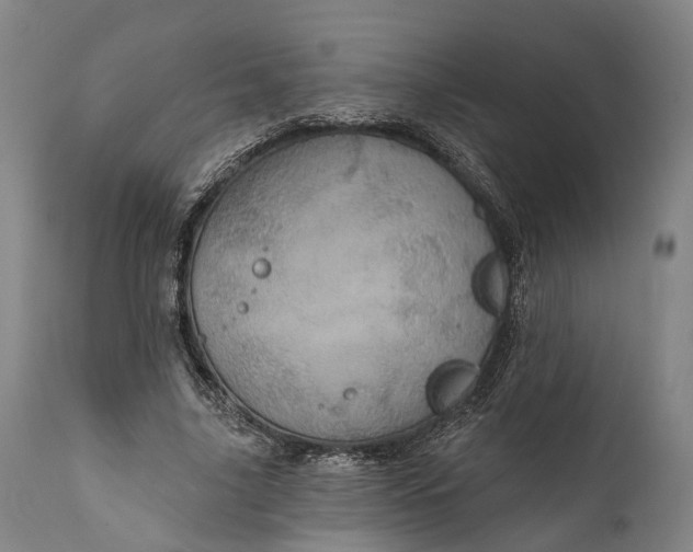 X0000111580635200908061325