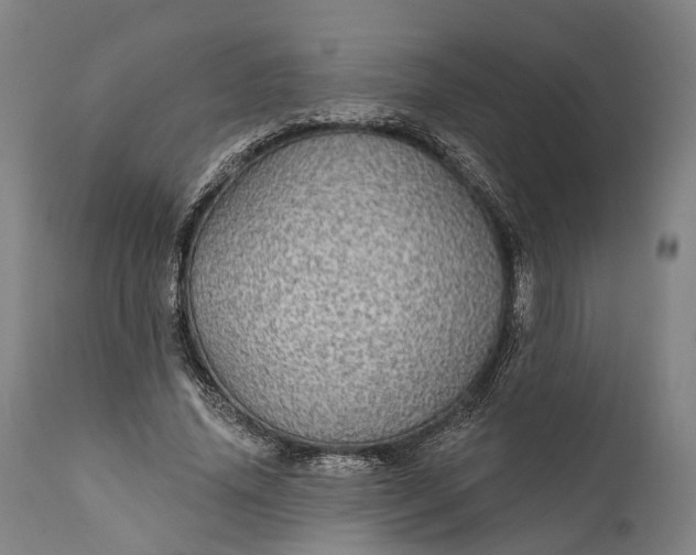 X0000111580636200908061325